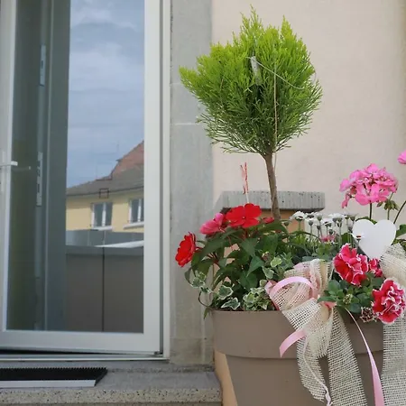 Saint-martin Appartement *